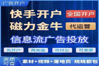 某电商企业如何通过百度竞价广告提升销售额